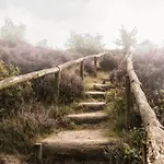 アパート Sfeervol Boshuisje Op De Veluwe Vossenberg *