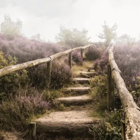 아파트 Sfeervol Boshuisje Op De Veluwe Vossenberg *