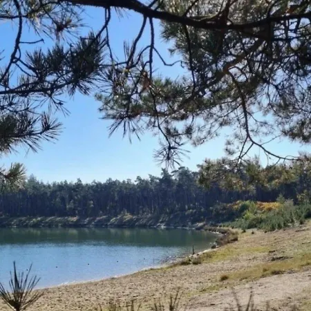 Apartment Forest Cabin At The Vossenberg Restyled Nunspeet
