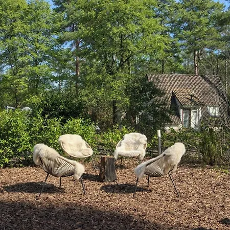 Sfeervol Boshuisje Op De Veluwe Vossenberg