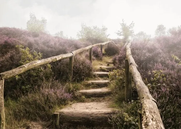 아파트 Sfeervol Boshuisje Op De Veluwe Vossenberg *