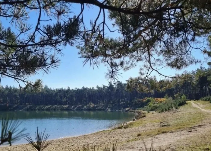 아파트 Sfeervol Boshuisje Op De Veluwe Vossenberg 넌스피트