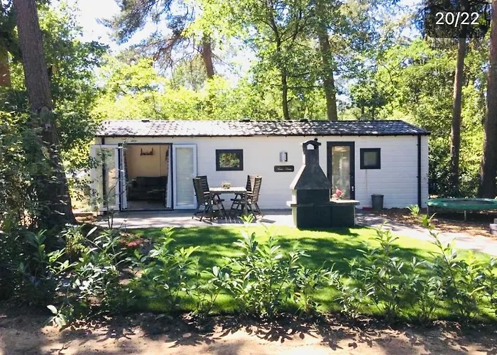 Forest At The Vossenberg Restyled ヌンスペート