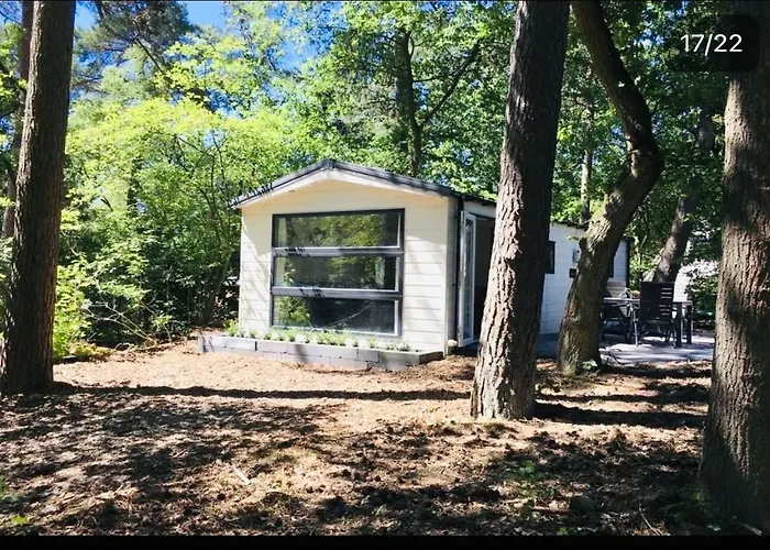 Forest Cabin At The Vossenberg Restyled Apartment
