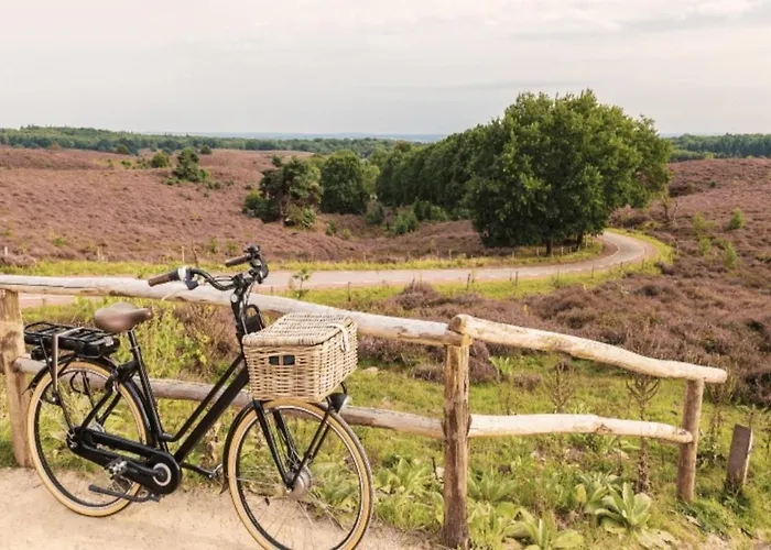 Sfeervol Boshuisje Op De Veluwe Vossenberg * 넌스피트