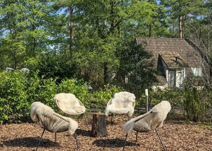 Sfeervol Boshuisje Op De Veluwe Vossenberg