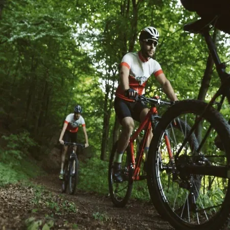 Forest At The Vossenberg Restyled דירה *