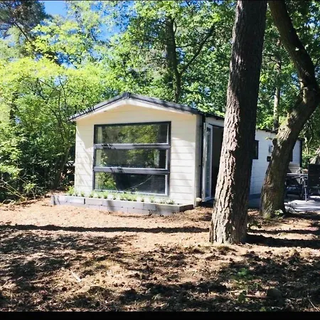 Forest At The Vossenberg Restyled Apartamento