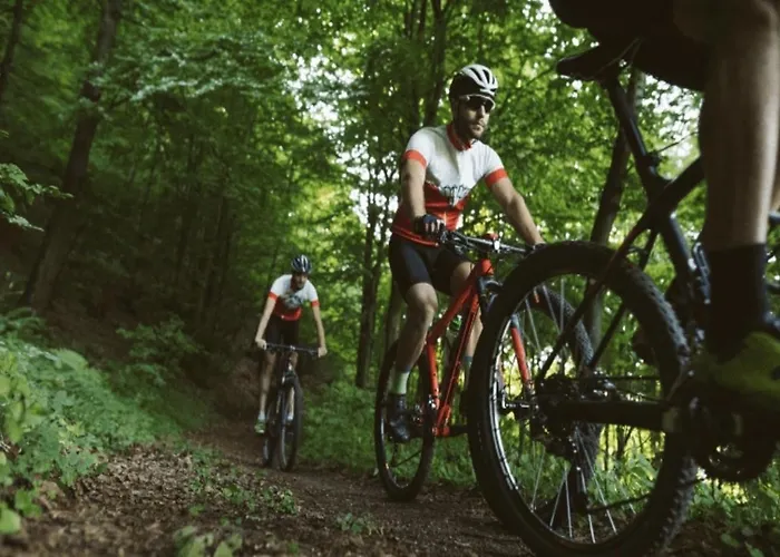 Forest At The Vossenberg Restyled דירה *