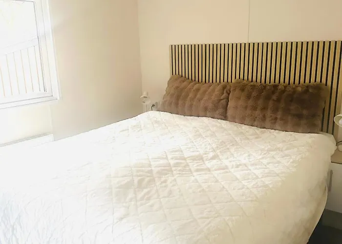 Forest At The Vossenberg Restyled *