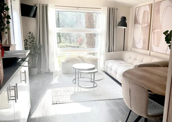 Forest At The Vossenberg Restyled Nunspeet