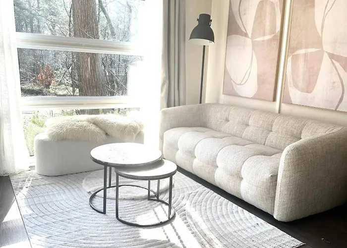 Forest At The Vossenberg Restyled