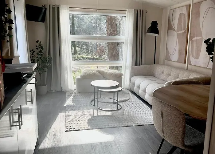 Forest At The Vossenberg Restyled נונספייט