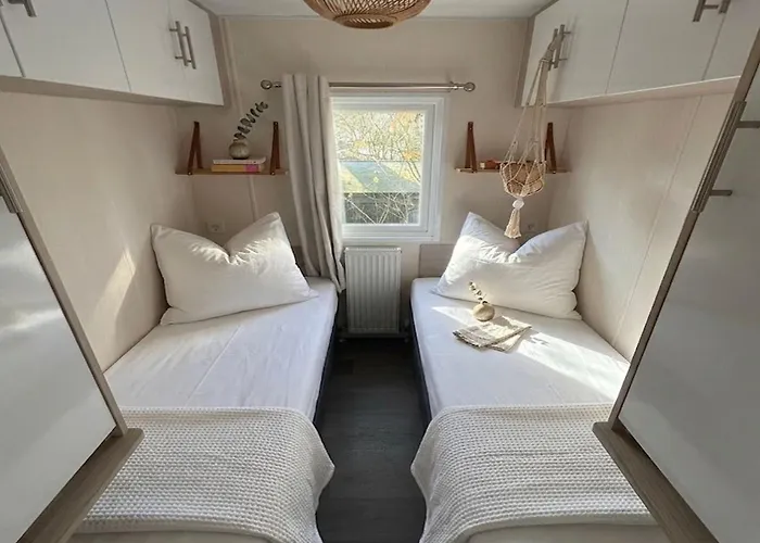 Forest At The Vossenberg Restyled *